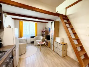Prodej bytu 2+kk, Praha - Podolí, Nedvědovo náměstí, 69 m2