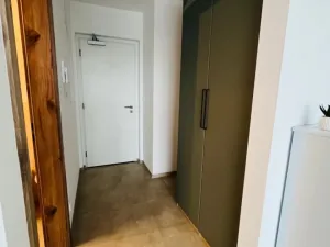 Pronájem bytu 1+kk, Plzeň - Jižní Předměstí, U Borského parku, 24 m2