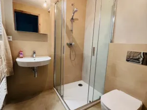 Pronájem bytu 1+kk, Plzeň - Jižní Předměstí, U Borského parku, 24 m2