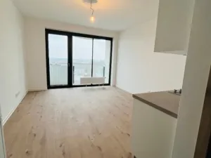 Pronájem bytu 1+kk, Plzeň - Jižní Předměstí, U Borského parku, 24 m2