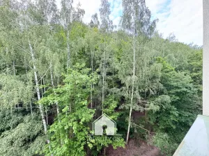 Pronájem bytu 2+1, Děčín, Na Pěšině, 64 m2