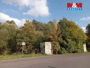 Prodej pozemku pro bydlení, Adršpach - Dolní Adršpach, 9122 m2