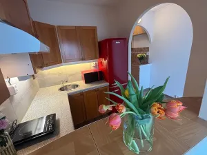 Prodej bytu 1+kk, Frýdek-Místek, 17. listopadu, 23 m2