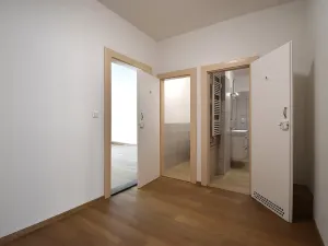 Pronájem bytu 3+kk, Plzeň, Čelakovského, 68 m2