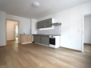 Pronájem bytu 3+kk, Plzeň, Čelakovského, 68 m2
