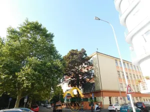 Pronájem bytu 2+kk, Praha - Michle, Adamovská, 42 m2
