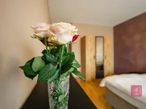 Prodej bytu 3+kk, Brno, Šumavská, 94 m2