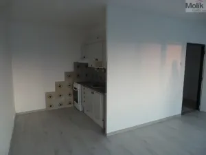 Pronájem bytu 1+kk, Most, Lidická, 33 m2