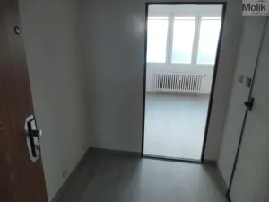 Pronájem bytu 1+kk, Most, Lidická, 33 m2