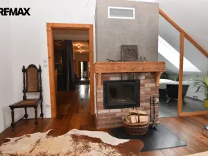 Prodej komerční nemovitosti, Dolany - Véska, 290 m2
