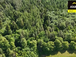 Prodej lesa, Vršovice, 13182 m2