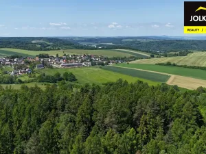 Prodej lesa, Vršovice, 13182 m2
