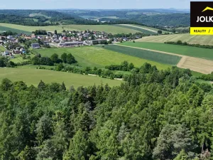 Prodej lesa, Vršovice, 13182 m2