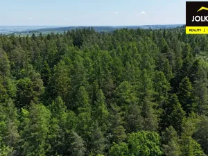 Prodej lesa, Vršovice, 13182 m2