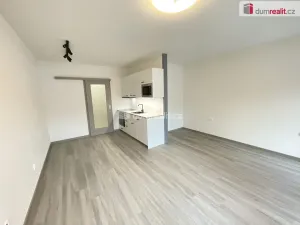 Pronájem bytu 1+kk, Pardubice - Bílé Předměstí, Štrossova, 41 m2