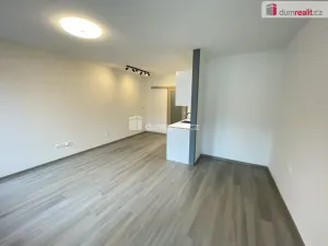 Pronájem bytu 1+kk, Pardubice - Bílé Předměstí, Štrossova, 41 m2
