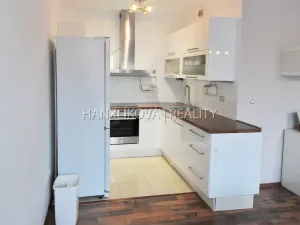 Pronájem bytu 2+kk, České Budějovice - České Budějovice 3, Riegrova, 65 m2