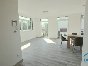 Pronájem bytu 4+kk, Herink, U Kovárny, 165 m2