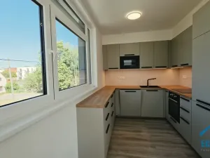 Pronájem bytu 4+kk, Herink, U Kovárny, 165 m2