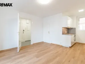 Prodej bytu 1+kk, Praha - Žižkov, Baranova, 34 m2