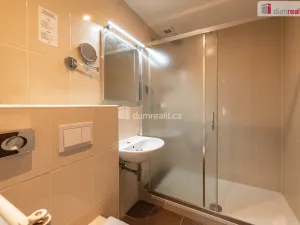 Prodej ubytování, Mariánské Lázně - Úšovice, Zeyerova, 4200 m2