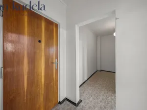 Prodej bytu 1+1, Brno, Horácké náměstí, 44 m2