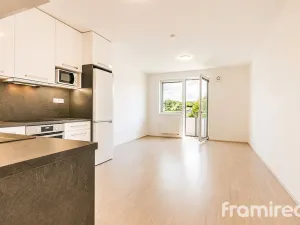 Pronájem bytu 1+kk, Brno, Reissigova, 34 m2