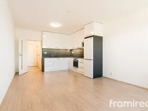 Pronájem bytu 1+kk, Brno, Reissigova, 34 m2