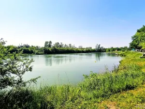 Prodej zahrady, Lužice, 621 m2