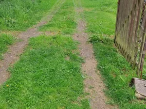 Prodej chalupy, Konice - Křemenec, 280 m2
