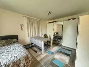 Prodej rodinného domu, Starý Plzenec, Rašínova, 210 m2