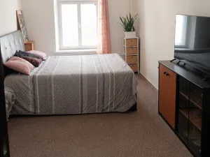 Pronájem bytu 2+kk, Opava, Sněmovní, 90 m2