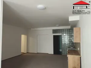 Pronájem bytu 2+kk, Opava, Sněmovní, 90 m2