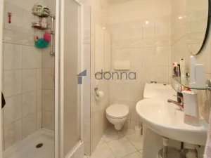 Pronájem bytu 1+kk, Praha, Hvězdova, 38 m2