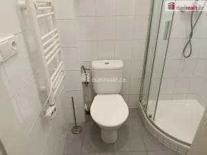 Pronájem bytu 1+kk, Praha - Vršovice, Na spojce, 19 m2