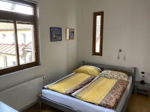 Pronájem bytu 2+1, Praha - Žižkov, Vlkova, 52 m2