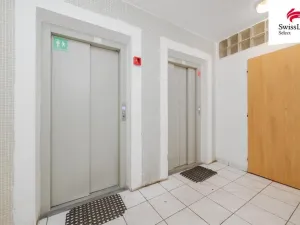 Prodej bytu 3+1, Brno, Velkopavlovická, 71 m2