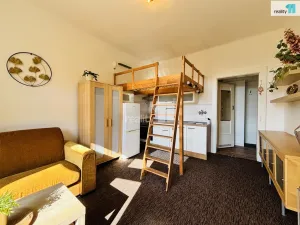 Pronájem bytu 1+kk, Praha - Vršovice, Slovinská, 24 m2