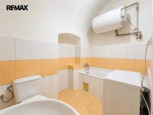 Prodej vícegeneračního domu, Březnice, Náměstí, 414 m2