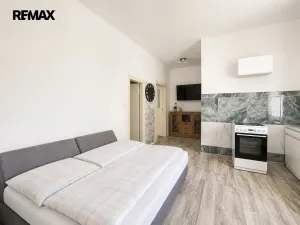 Prodej vícegeneračního domu, Březnice, Náměstí, 414 m2