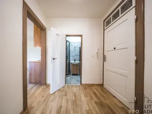 Prodej bytu 2+1, Veselí nad Moravou, 63 m2
