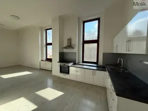 Pronájem bytu 3+kk, Most, Čsl. armády, 114 m2