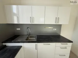 Pronájem bytu 3+kk, Most, Čsl. armády, 114 m2