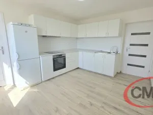Pronájem bytu 3+1, Ledčice, 90 m2