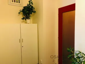 Pronájem bytu 1+1, Praha - Vinohrady, Na Folimance, 40 m2