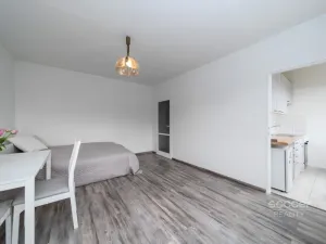 Prodej bytu 1+1, Praha - Braník, Novodvorská, 26 m2