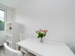 Prodej bytu 1+1, Praha - Braník, Novodvorská, 26 m2