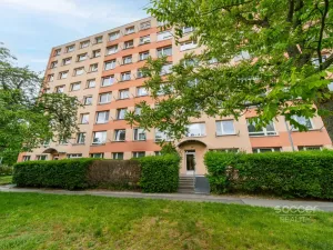Prodej bytu 1+1, Praha - Braník, Novodvorská, 26 m2