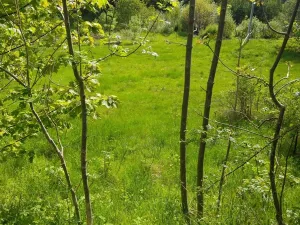 Prodej pozemku pro bydlení, Merklín, 1763 m2