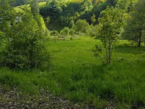 Prodej pozemku pro bydlení, Merklín, 1000 m2
